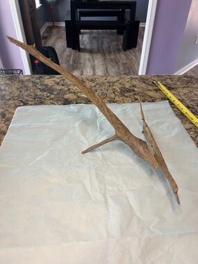 Natural Brown Driftwood from Potomac River
